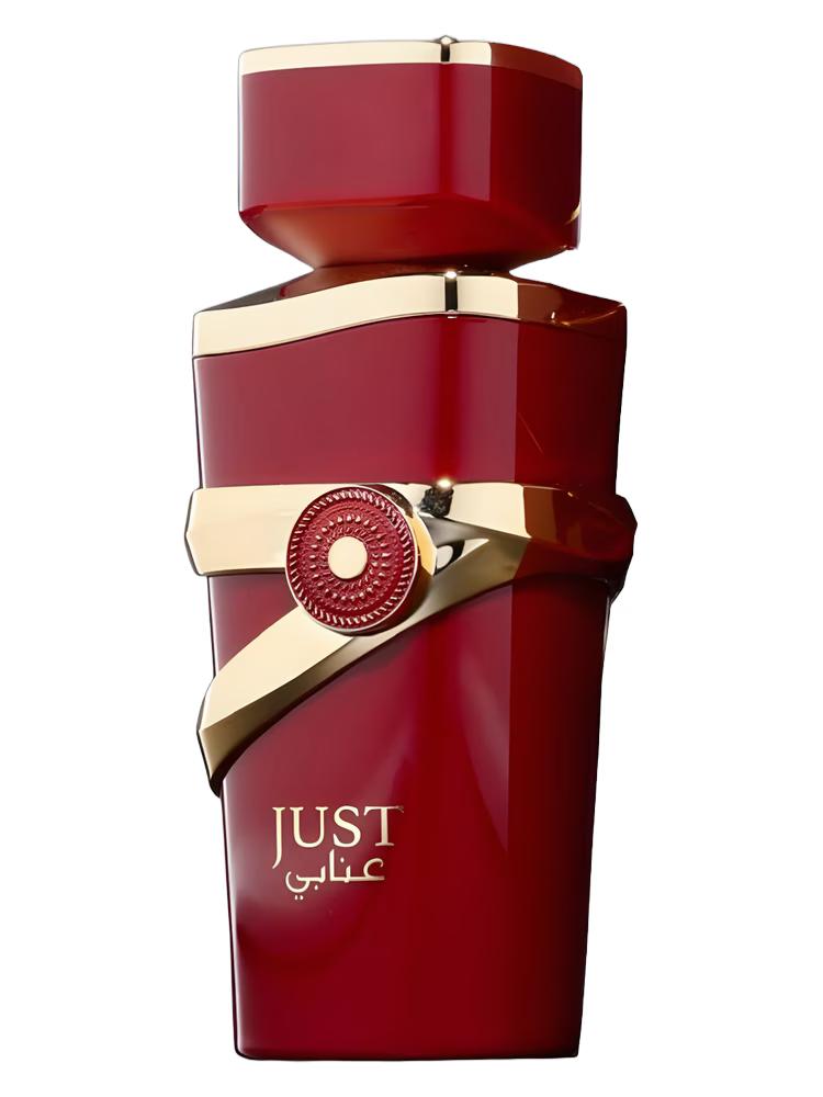 JUST ANABI pour FEMME