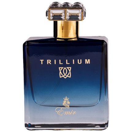 Paris Corner Emir Trillium Eau de Parfum (EDP) Mixte 100ml